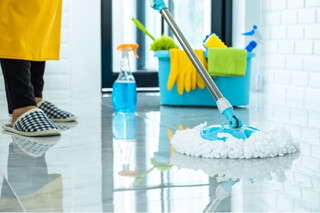 Domestic Cleaning